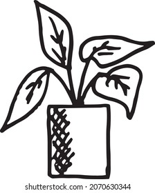 Doodle indoor flowers plants,Pot plants set hand-drawn design elements. Black and white illustrations of house plants.Doodle, indoor, flowers, plants,