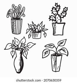 Doodle indoor flowers plants,Pot plants set hand-drawn design elements. Black and white illustrations of house plants.Doodle, indoor, flowers, plants,