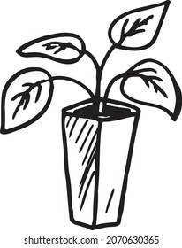 Doodle indoor flowers plants,Pot plants set hand-drawn design elements. Black and white illustrations of house plants.Doodle, indoor, flowers, plants,