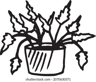 Doodle indoor flowers plants,Pot plants set hand-drawn design elements. Black and white illustrations of house plants.Doodle, indoor, flowers, plants,