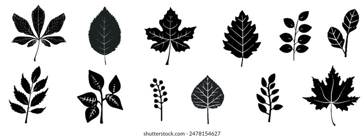 Doodle ink autumn foliage sketch set, vector leaf brushstroke collection, hand drawn organic icon kit. Abstract naive botanical outline modern autumn decoration design element. Doodle foliage texture 