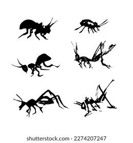 Doodle insects. Collection with spring and summer insects, bugs. Hand drawing vector illustration. Isolated object of insect and fly icon. 