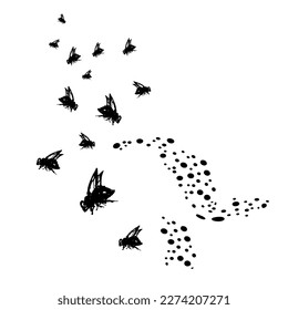 Doodle insects. Collection with spring and summer insects, bugs. Hand drawing vector illustration. Isolated object of insect and fly icon. Fly