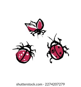 Doodle insects. Collection with spring and summer insects, bugs. Hand drawing vector illustration. Isolated object of insect and fly icon. 