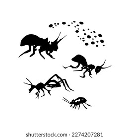 Doodle insects. Collection with spring and summer insects, bugs. Hand drawing vector illustration. Isolated object of insect and fly icon. 