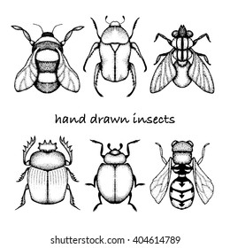 Doodle insects: fly , ladybug , bumblebee , wasp, bee, scarab