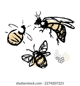 Doodle insects. Set with spring and summer insects, bugs. Hand drawing vector illustration. Isolated object of insect and fly icon. Fly, wasp, bee

