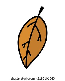 Doodle isolated autumn leaf. Hand drawn fallen seasonal leaf. Vector fall illustration clip art