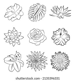 Doodle isolated flower collection graphic outline sketch hand drawn icon set, botanical floral design element. Water lily, lotus, rose, sunflower, monstera leaf stamp print. Luxury logo label template