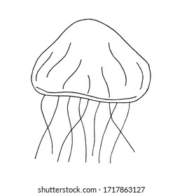 Doodle jellyfish. hand drawn of a jellyfish isolated on a white background. Vector illustration sticker, icon, design element