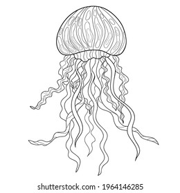 Doodle jellyfish with simple patterns on a white isolated background. For coloring book pages. Marine cute illustration.