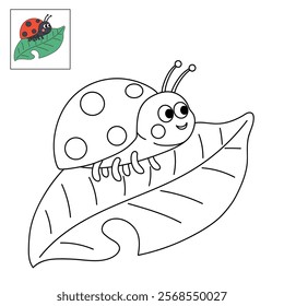 Doodle ladybug coloring pages spring worksheets printable for kids activity, Kindergarten and preschool. Trace and color ladybug worksheets. Cute ladybug clipart vector.