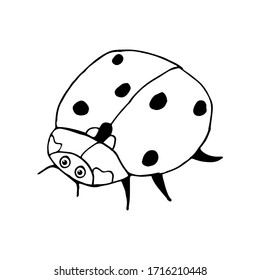 Doodle ladybug. hand drawn of a ladybug isolated on a white background. Vector illustration sticker, icon, design element