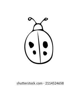 Doodle ladybug. hand drawn of a ladybug isolated on a white background. Vector illustration sticker, icon, design element