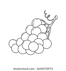Doodle a large bunch of grapes. Grapes are large and collected in bunches. Minimalistic drawing for children's coloring pages. Vector illustration