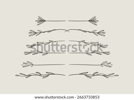 doodle laurel leaves line divider and separator collection set