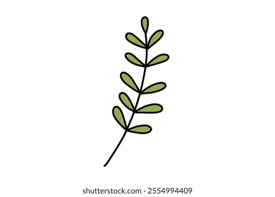 Doodle leaf. Branch exotic plant leaf. Jungle and rainforest. Stock vector cartoon flat illustration isolated on white background.