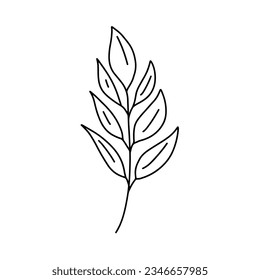 Doodle leaf. Greenery element doodle coloring page leaves illustration