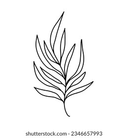 Doodle leaf. Greenery element doodle coloring page leaves illustration