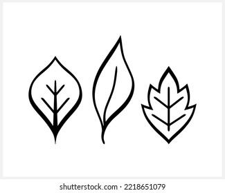 Doodle-Blatt-Symbol einzeln. Eco Clip Art. Laurel Vektorgrafik. EPS10