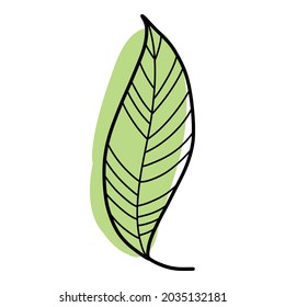 Doodle leaf icon outline hand drawn vector. Nature fall autumn. Forest tree plant leaf