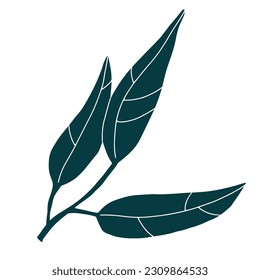 Doodle leaf image. Hand-drawn long plant isolated on white background. Green lemon leaf with veins. Herb summer sign. Vector floral illustration for interior, gardening, holiday. Eco botanical poster