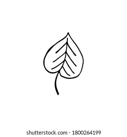 Doodle leaf image. Vector for web, textile, decoration, stickers. Simple black and white picture. Halloween.