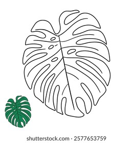 Doodle leaf of Monstera plant tropical coloring pages for kids. Trace and color monstera leaf of tropical plant. Monstera leaf line art illustration. Summer worksheets for kids activity printable.