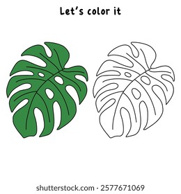 Doodle leaf of Monstera plant tropical coloring pages for kids. Trace and color monstera leaf of tropical plant. Monstera leaf line art illustration. Summer worksheets for kids activity printable.