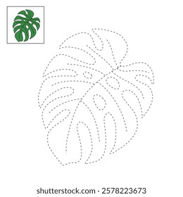 Doodle leaf of Monstera plant tropical coloring pages for kids. Trace and color monstera leaf of tropical plant. Monstera leaf line art illustration. Summer worksheets for kids activity printable.