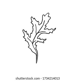 Doodle leaf on a white background. A piece of paper drawn with black lines. Vector leaf.