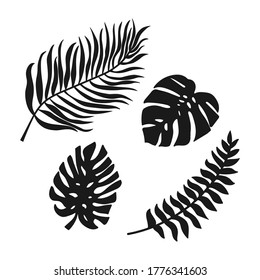Doodle leaf of palm and monstera set icons isolated on white. Stencil leaves. Natutal collection. Vector stock illustration. EPS 10