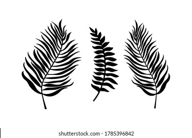 Doodle Leaf Of Palm Set Icons Isolated On White. Stencil Leaves. Natutal Collection. Vector Stock Illustration. EPS 10