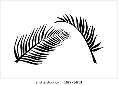 Doodle leaf of palm set icons isolated on white. Stencil leaves. Natutal collection. Vector stock illustration. EPS 10