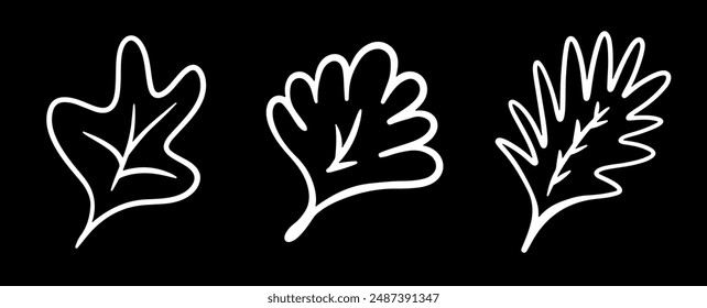 Doodle leaf set. Hand drawn floral shapes and leaves. Simple black minimalistic elements for design on black background
