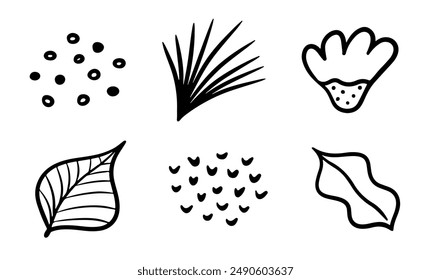 Doodle leaf set. Hand drawn floral shapes and leaves. Simple black minimalistic elements for design