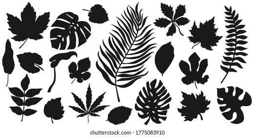 Doodle-Blatt-Set-Symbole einzeln auf weiß. Bleistift-Blätter. Vektorgrafik. EPS10