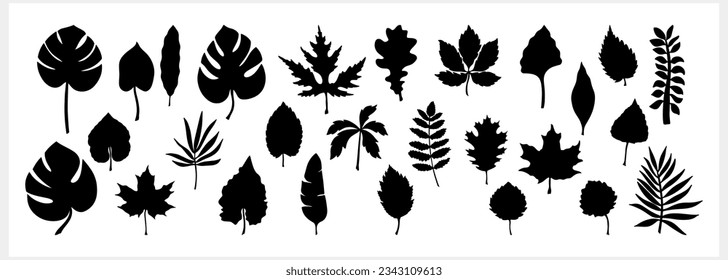 Doodle leaf set icons isolated. Stencil leaves. Vector stock illustration. EPS 10