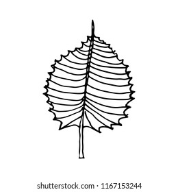 Doodle Leave Sketch line illustration