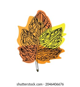 Doodle Leave Sketch line illustration. Abstract colorful vector.