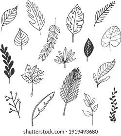 doodle leaves hand draw vector lineart