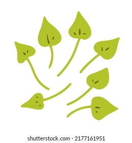 Doodle leaves set. Hand-drawn cute plant isolated on white background. Green heart leaf with veins. Herb summer sign. Vector floral illustration for interior, gardening, holiday. Eco botanical poster