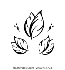 Doodle leaves, stylized drawing leaves set contour, isolated on white background. Vector illustration