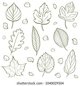 Doodle Leaves vector
