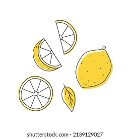 Doodle lemon outline with spots. Whole, pieces, and leaves