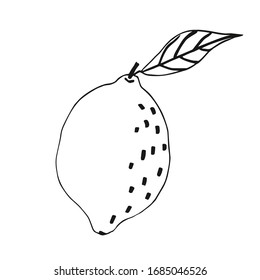 Doodle-Zitrone. Vektorillustration Illustration von Zitrone mit Blatt. Zitronensymbol. 