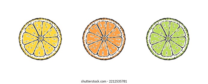 Doodle lemons. Lemon lime and orange. Drawn fruits. Vector illustration