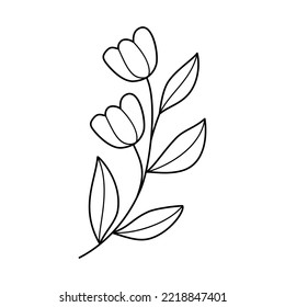 Doodle line art branch with leaves and flowers. Hand drawn twig plant, monochrome linear garden floral elements. Vintage botanical natural illustrations in outline style.