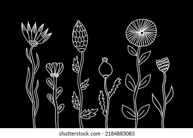 Doodle line art doodle flowers white on black background.