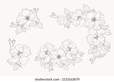 doodle line art rose flower bouquet elements collection